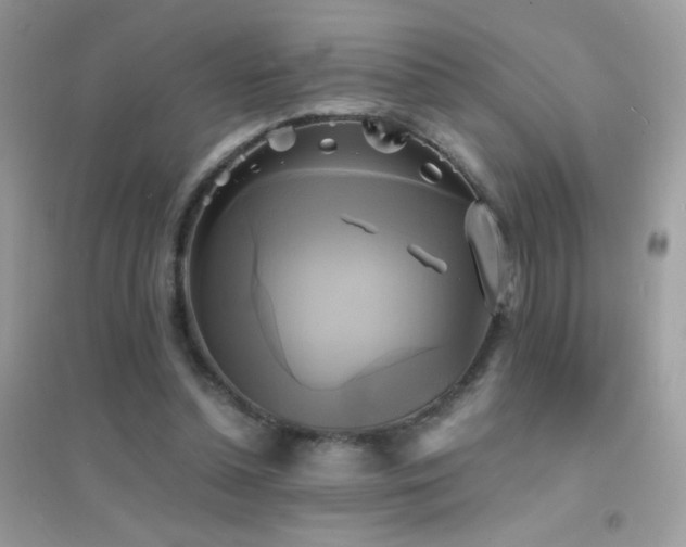 X0000095120348200712071245