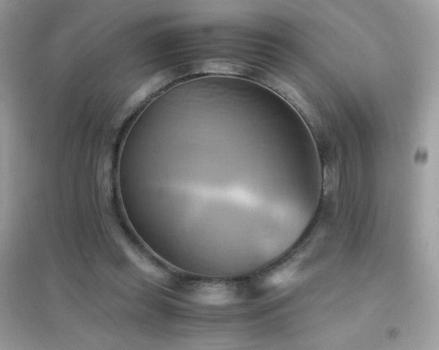 X0000095120349200712071245