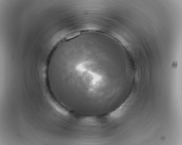 X0000095120350200712071245