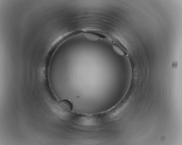 X0000095120351200712071245