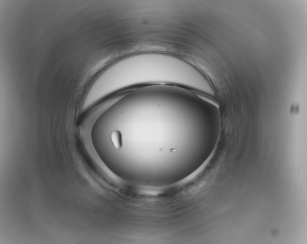 X0000095120352200712071245