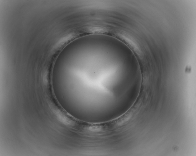 X0000095120353200712071245