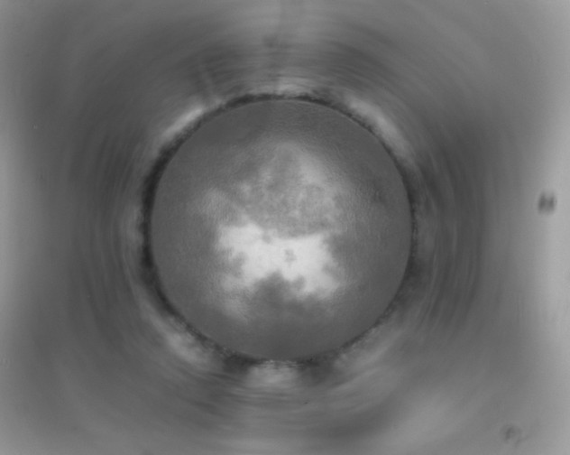 X0000095120354200712071245