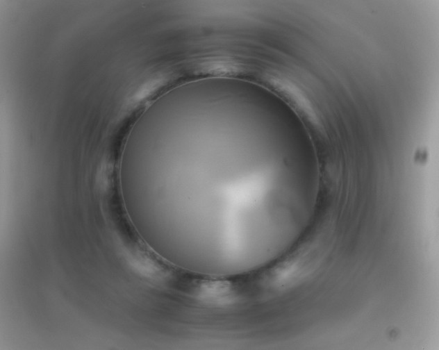 X0000095120355200712071245