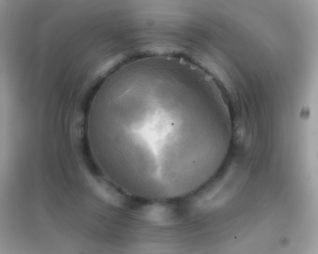 X0000095120356200712071245