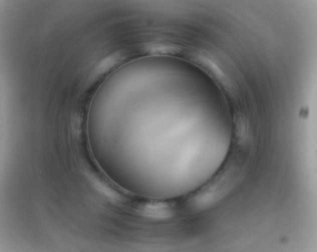 X0000095120357200712071245