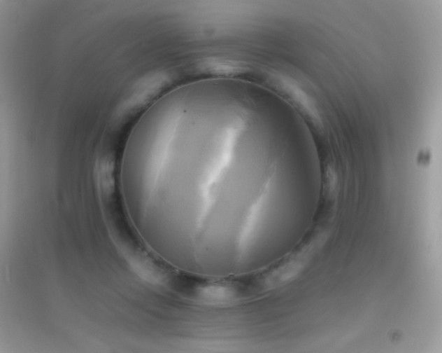 X0000095120358200712071245