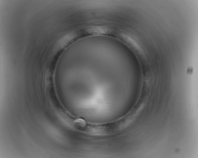 X0000095120359200712071245