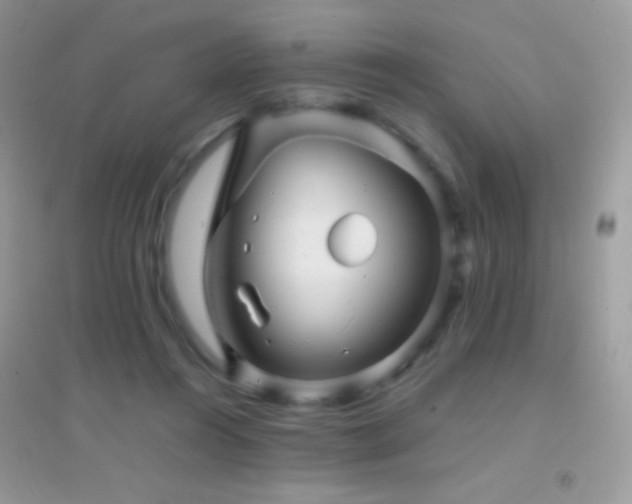 X0000095120360200712071245