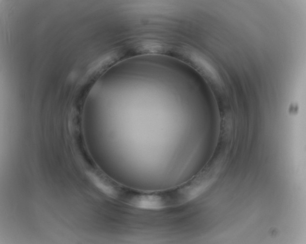 X0000095120361200712071245