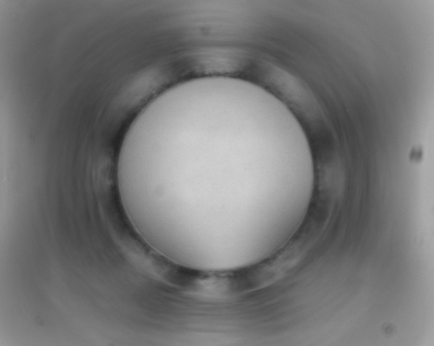 X0000095120362200712071245