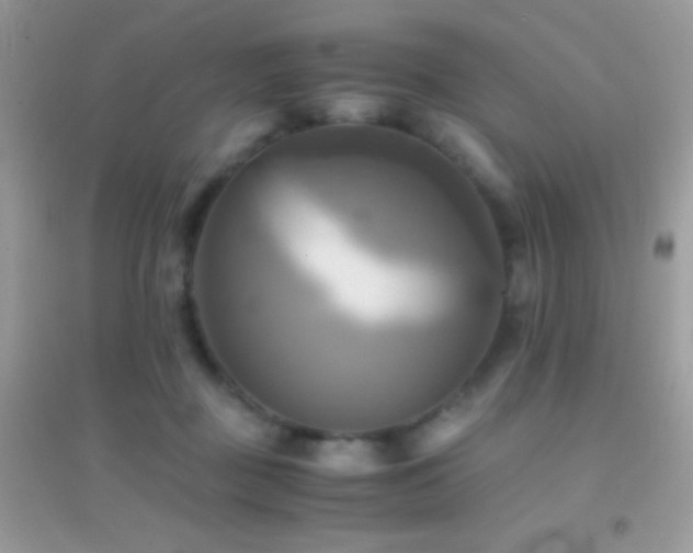 X0000095120363200712071245