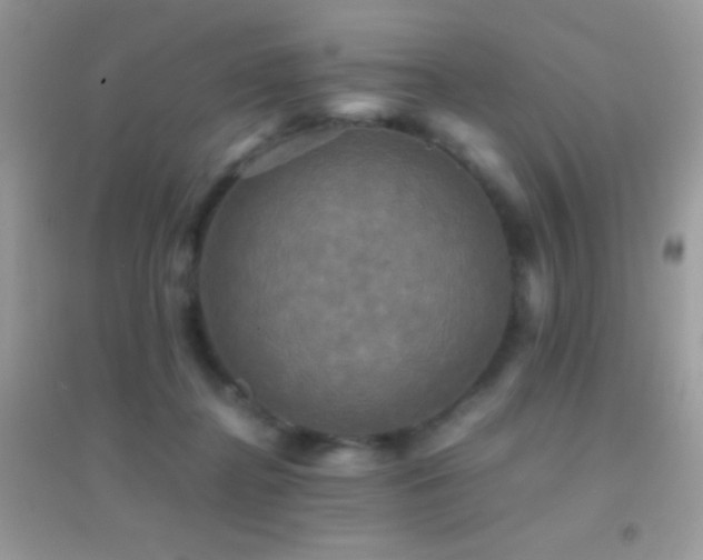 X0000095120364200712071245