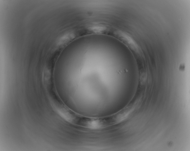 X0000095120365200712071245