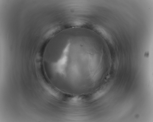 X0000095120366200712071245