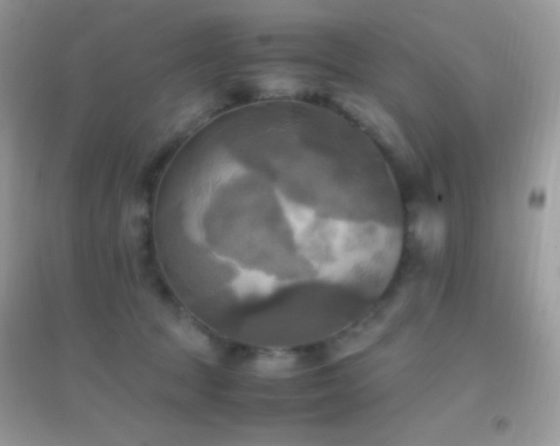 X0000095120369200712071245