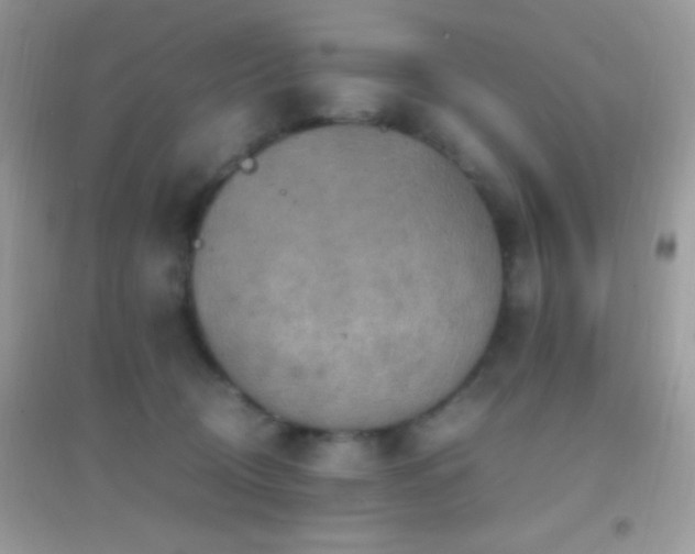 X0000095120370200712071245