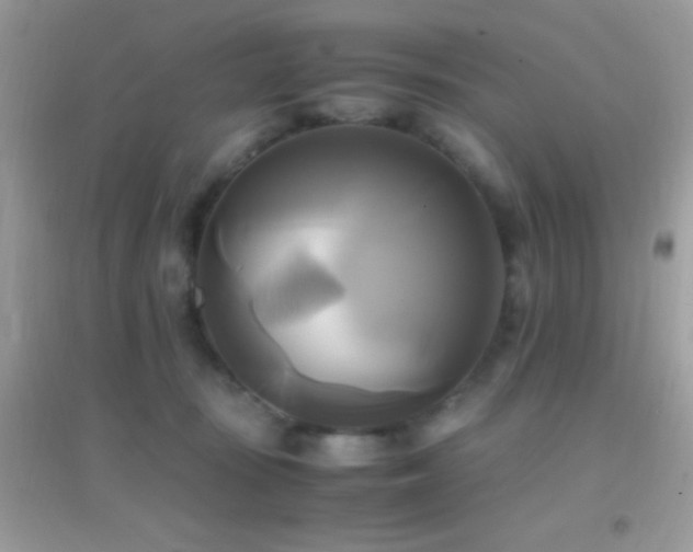 X0000095120371200712071245