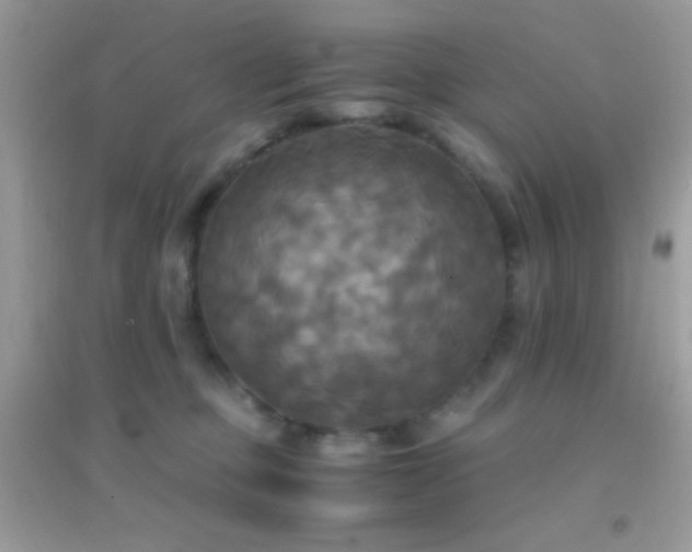 X0000095120373200712071245