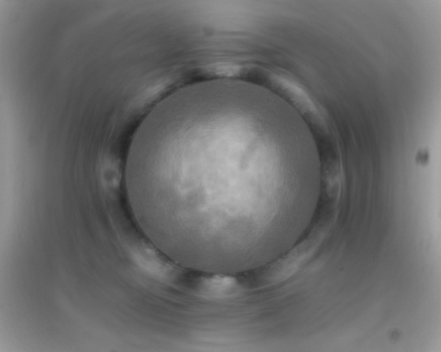 X0000095120374200712071245