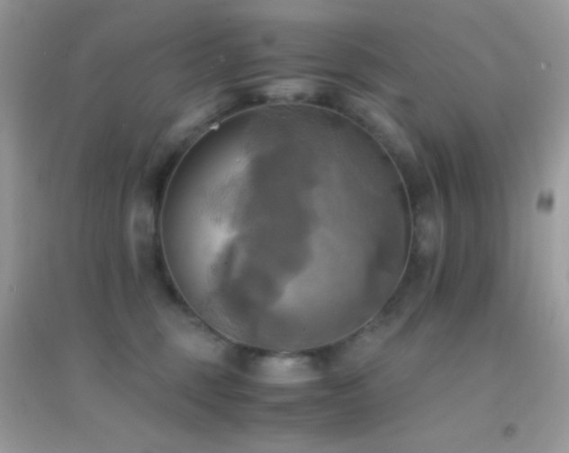 X0000095120375200712071245