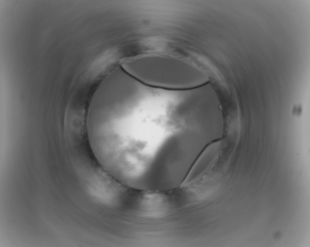X0000095120376200712071245
