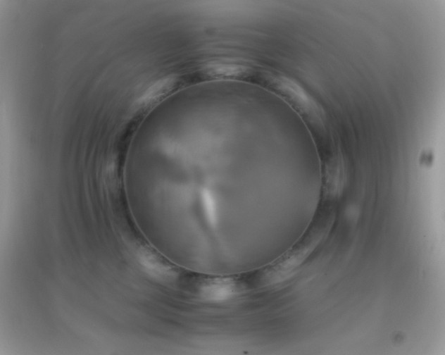 X0000095120377200712071245