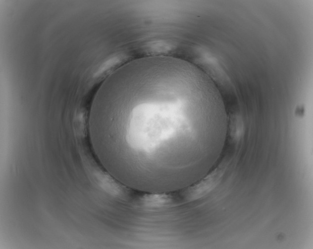 X0000095120378200712071245