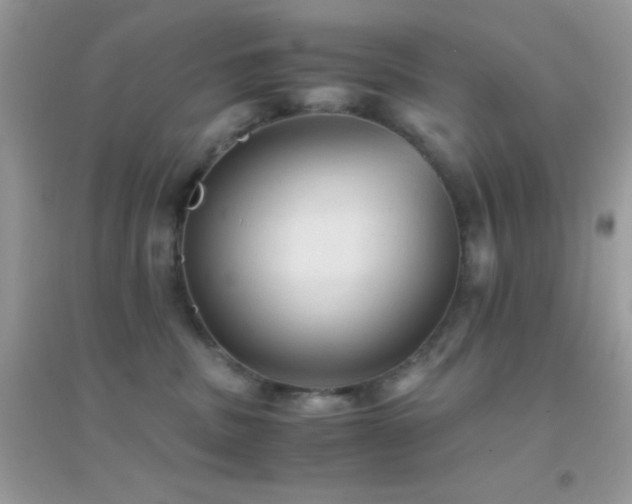X0000095120379200712071245