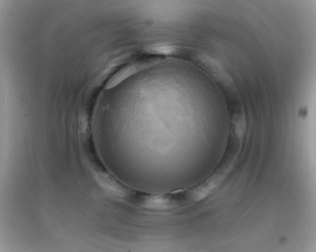 X0000095120380200712071245