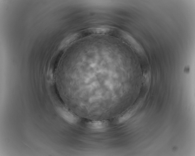 X0000095120381200712071245