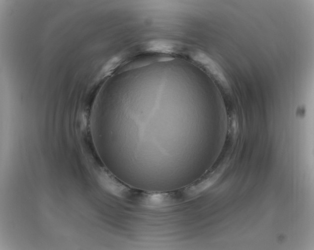 X0000095120382200712071245