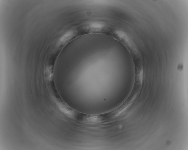 X0000095120383200712071245