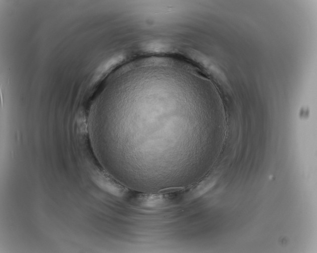 X0000095120384200712071245