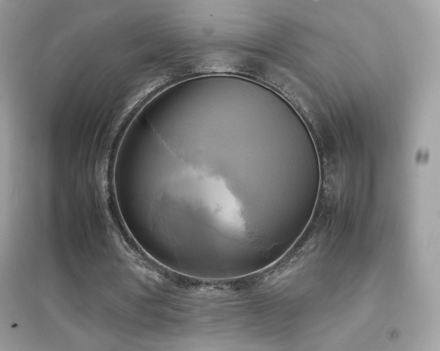 X0000095120386200712071245