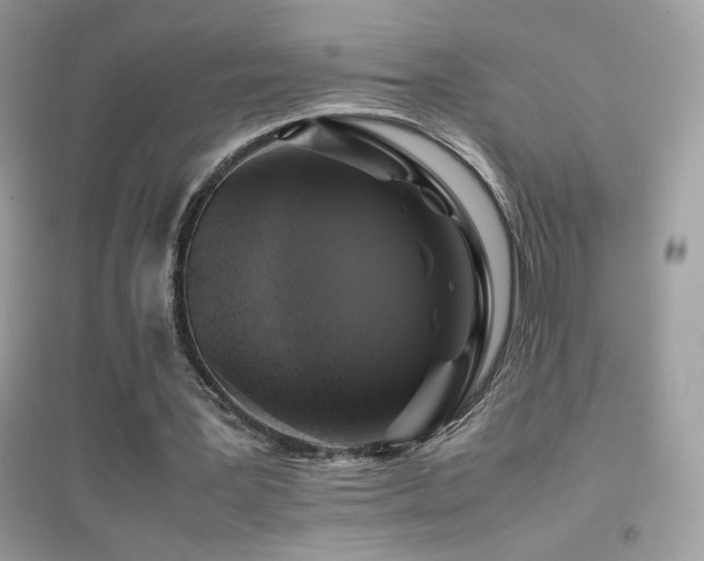 X0000095120387200712071245