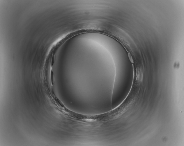 X0000095120388200712071245