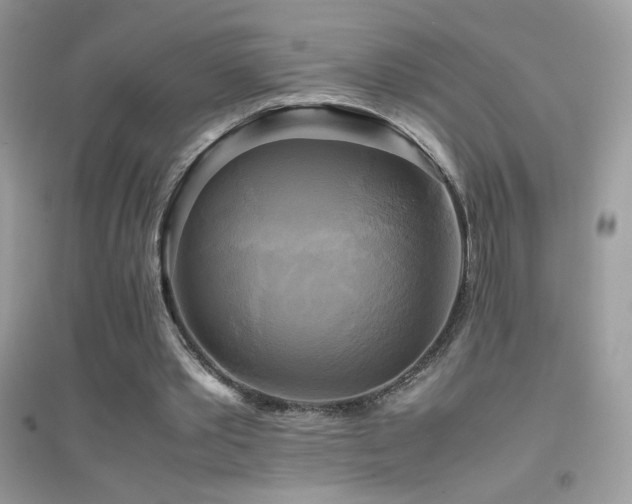 X0000095120389200712071245