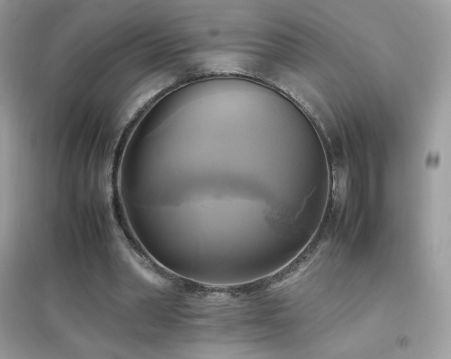 X0000095120390200712071244