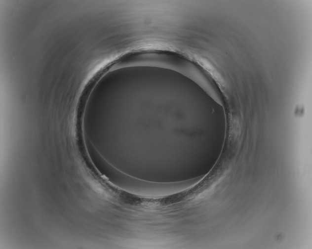 X0000095120391200712071244