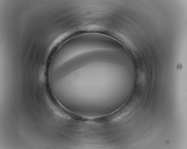 X0000095120392200712071244