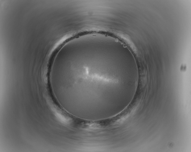 X0000095120395200712071244