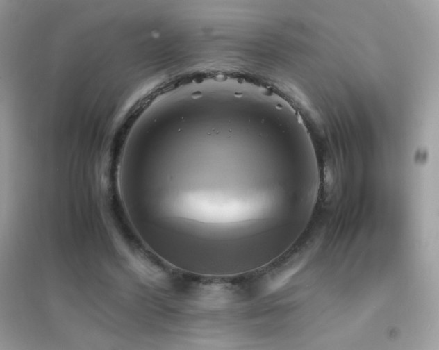 X0000095120396200712071244