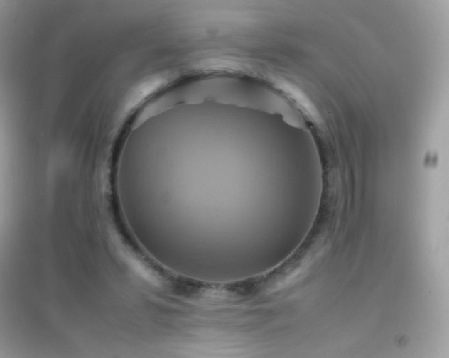 X0000095120399200712071244