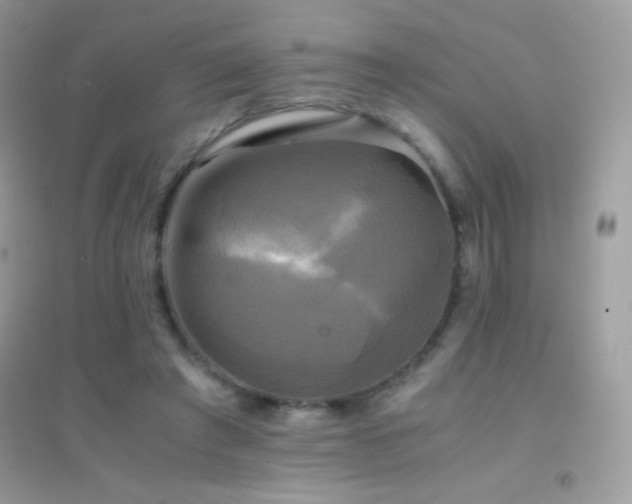 X0000095120401200712071244