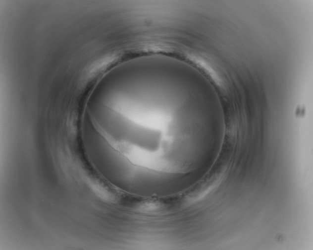 X0000095120402200712071244
