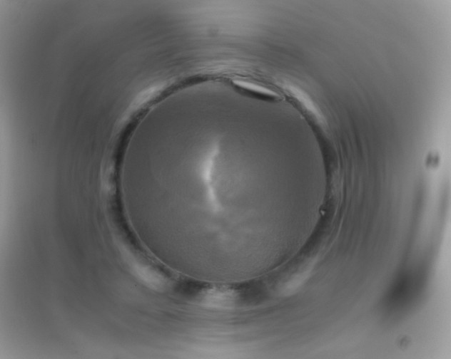 X0000095120403200712071244