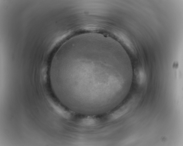 X0000095120404200712071244