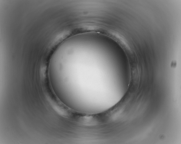 X0000095120406200712071244