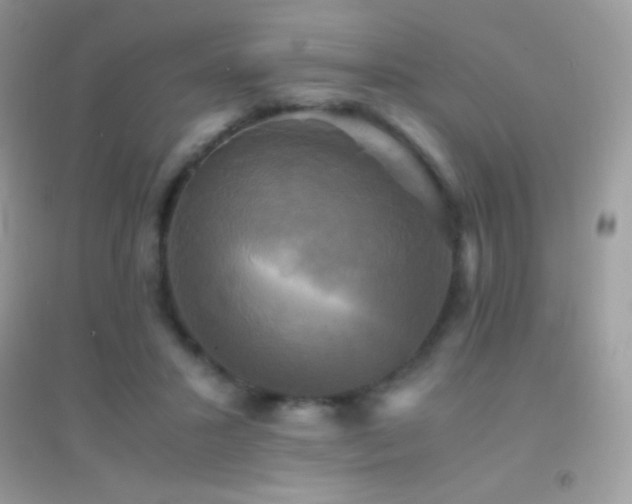 X0000095120407200712071244